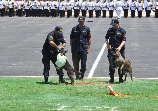 الأسرار التي قدمتها وزارة الداخلية من خلال عروض الكلاب التي قدمتها في عيد الشرطة
