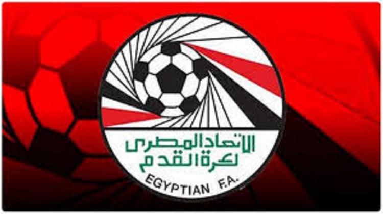 قام  الاتحاد المصري لكرة القدم بتشكيل لجنة لتقوم بإدارة الحُكام لحين تجديد الهمة وعودة صدى الملاعب من جديد