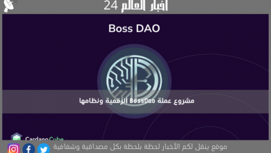 مشروع عملة BossDao الرقمية ونظامها