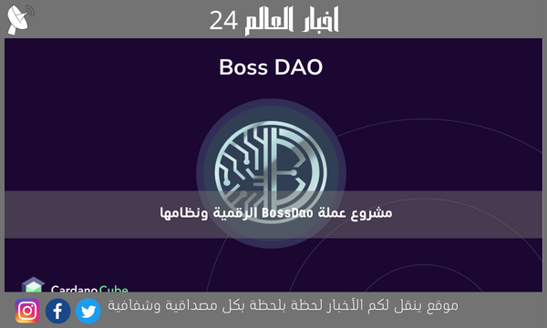 مشروع عملة BossDao الرقمية ونظامها