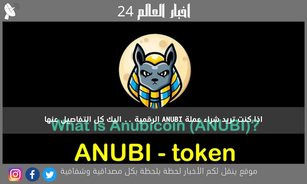اذا كنت تريد شراء عملة ANUBI الرقمية .. اليك كل التفاصيل عنها