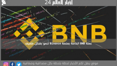 عملة BNB الخاصة بمنصة Binance تنمو بشكل طفيف