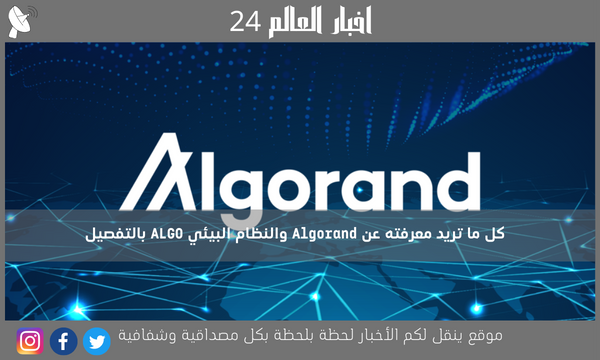 كل ما تريد معرفته عن Algorand والنظام البيئي ALGO بالتفصيل