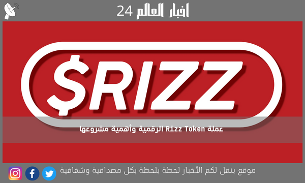 عملة Rizz Token الرقمية وأهمية مشروعها