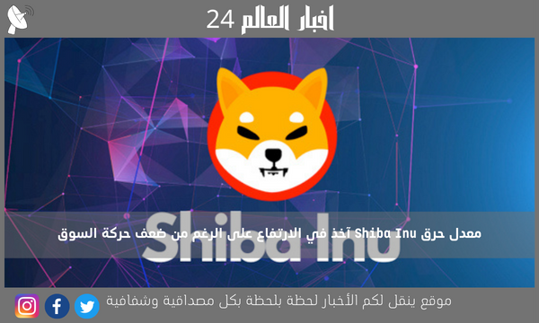 معدل حرق Shiba Inu آخذ في الارتفاع على الرغم من ضعف حركة السوق