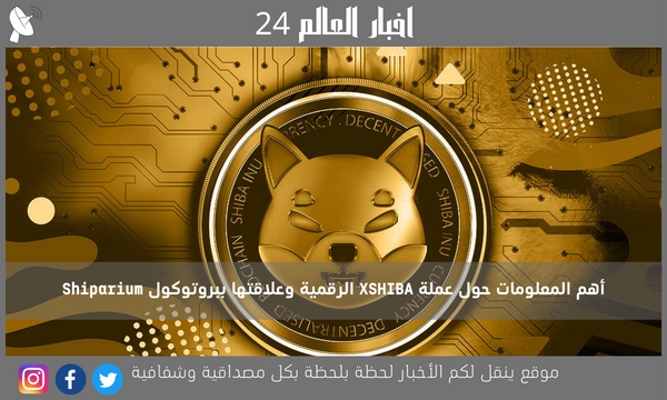 أهم المعلومات حول عملة XSHIBA الرقمية وعلاقتها ببروتوكول Shiparium